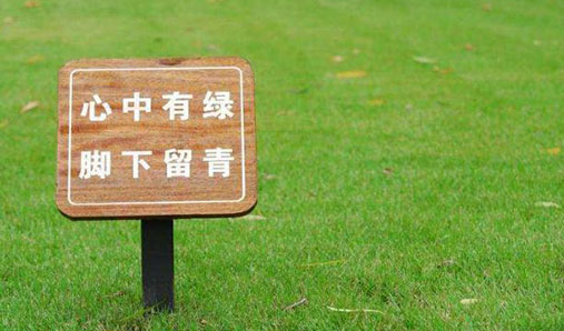 現(xiàn)在公園標(biāo)識(shí)設(shè)計(jì)都純?cè)谀男﹩栴}？